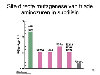 Site directe mutagenese van triade aminozuren in subtilisin 