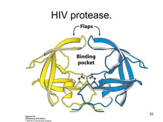 HIV protease. 