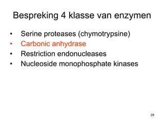 Bespreking 4 klasse van enzymen Serine proteases (chymotrypsine) Carbonic anhydrase Restriction endonucleases Nucleoside monophosphate kinases  