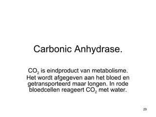 Carbonic Anhydrase. CO 2  is eindproduct van metabolisme. Het wordt afgegeven aan het bloed en getransporteerd maar longen. In rode bloedcellen reageert CO 2  met water. 