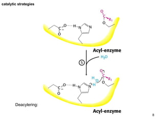 catalytic strategies Deacylering:  