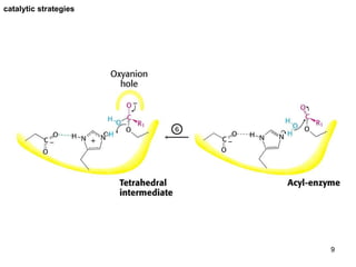 catalytic strategies 