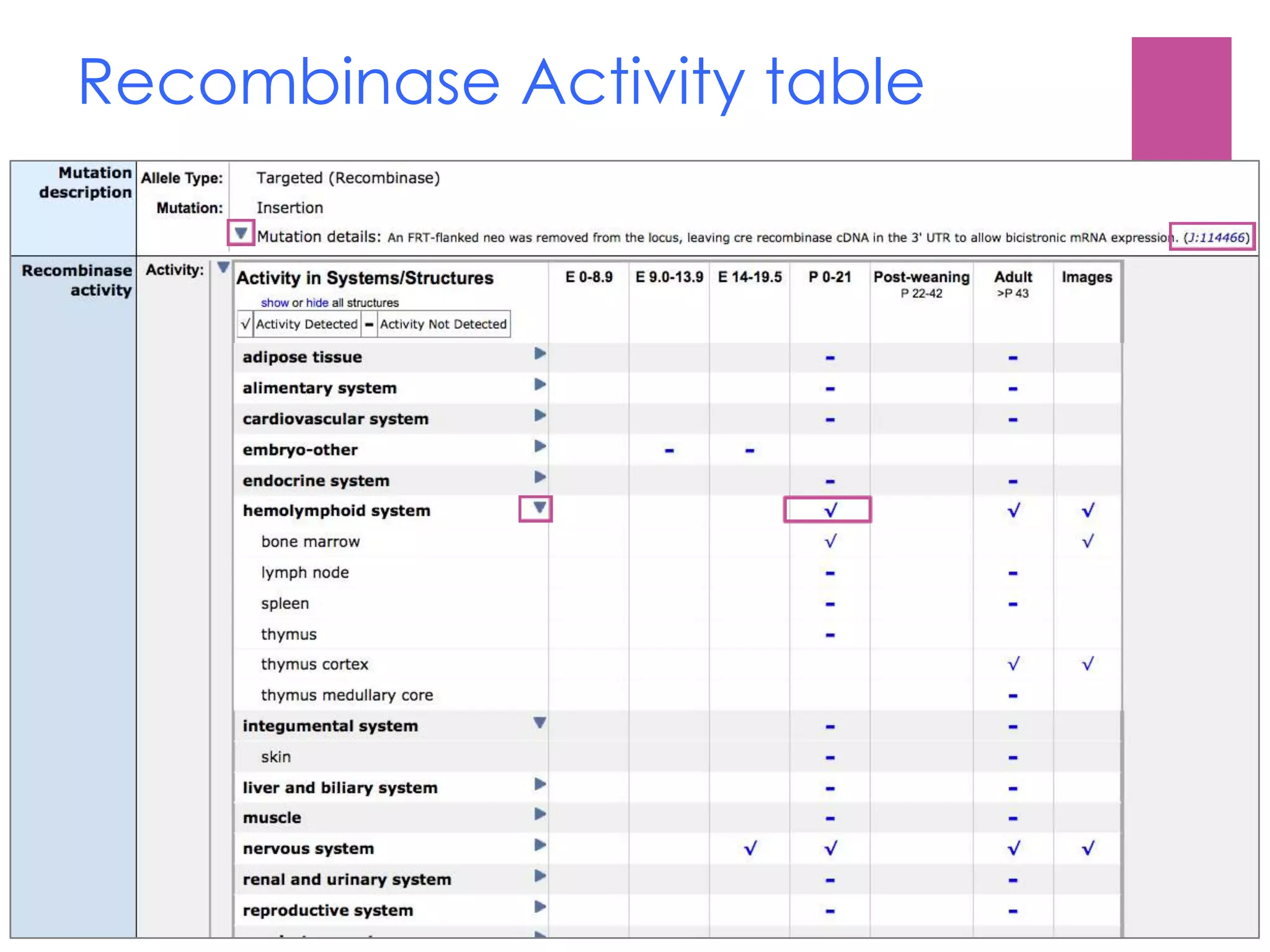 Recombinase Activity table
 