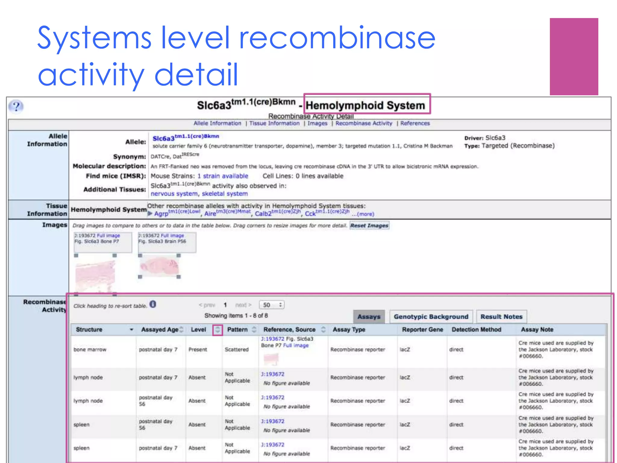 Systems level recombinase
activity detail
 