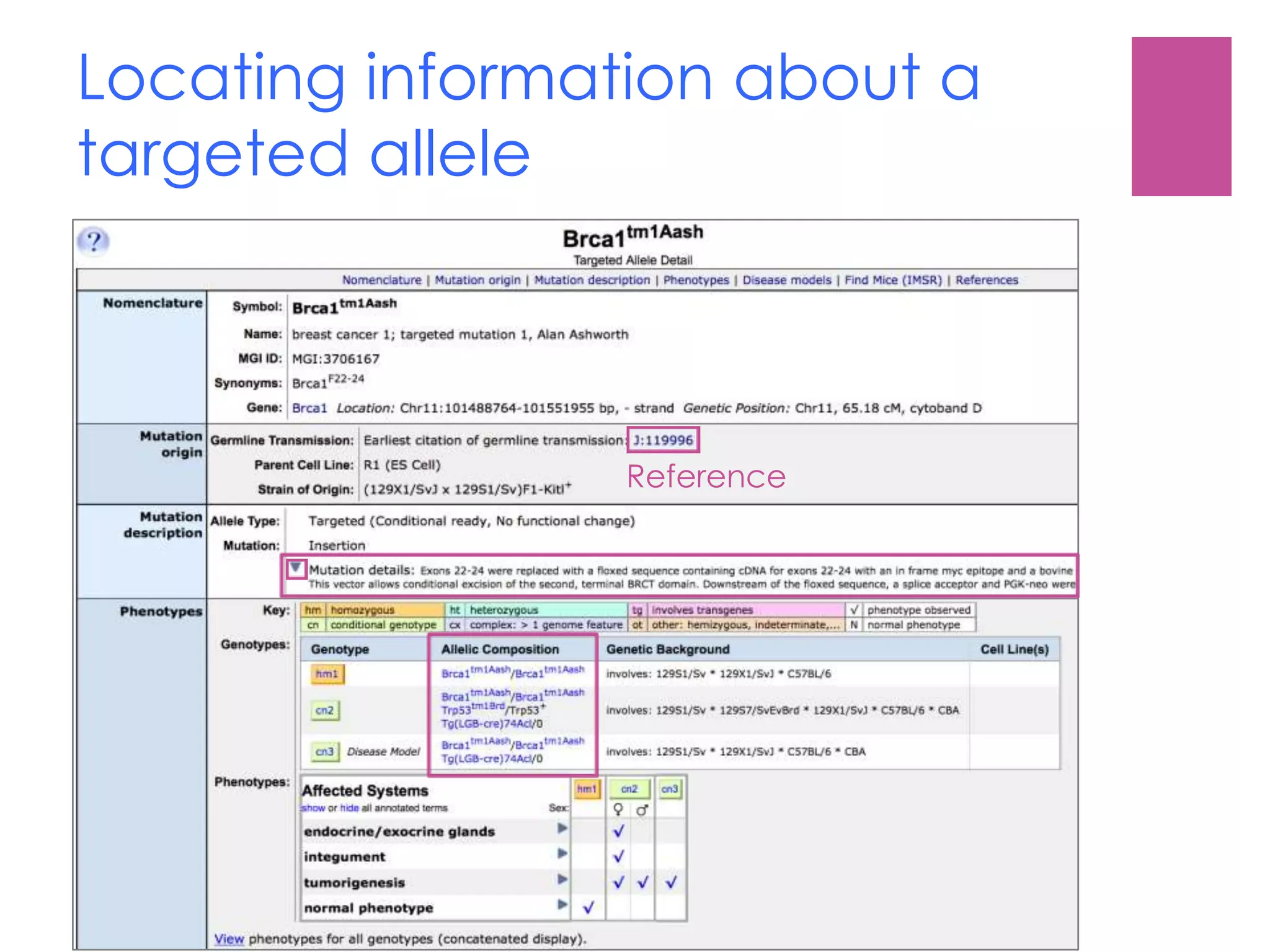 Locating information about a
targeted allele
Reference
 