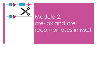 Module 2.
cre-lox and cre
recombinases in MGI
 