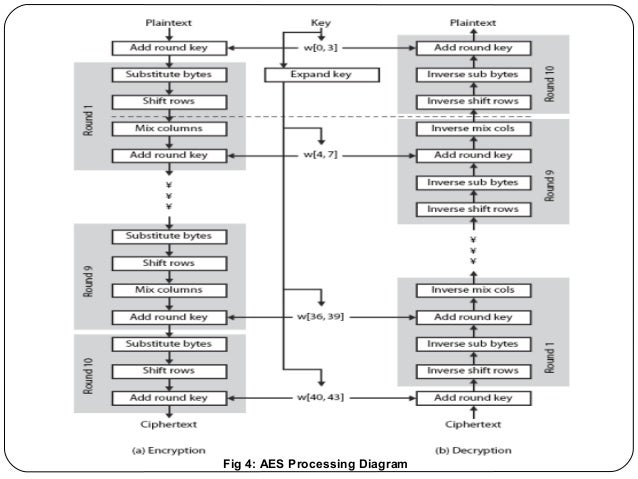 aes encryption diagram aes cryptosystem aes encryption diagram aes cryptosystem