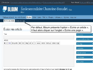 Par défaut, Bloum présente l’option « Écrire un article ». Il faut alors cliquer sur l’onglet « Écrire une page ». 