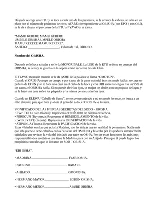 Después se coge una ETU y se toca a cada uno de los presentes, se le arranca la cabeza, se echa en un
plato con el número de pedacitos de coco, ATARE correspondiente al ORISHA (con EPO o con ORI),
se le da a chupar el pescuezo de la ETU al IYAWO y se canta:
“MAMU KERERE MAMU KERERE
UMPELE ORISHA UMPELE ORISHA
MAMU KERERE MAMU KERERE”.
ASHEDA ____________________, Fulano de Tal, DIDDEO.
Nombre del ORISHA.
Después se le hace saludar y se le da MOFORIBALE. La LERI de la ETU se forra en cuentas del
ORISHA, se seca y se guarda en la sopera como recuerdo de esta Obra.
El IYAWO montado cuando se le da ASHE de la palabra se llama “OMOTUN”.
Cuando el ORISHA ocupe un cuerpo y por causa de la parte material éste no puede hablar, se coge un
pedazo de EFUN y se le hace una cruz en el cielo de la boca y con ORI sobre la lengua. En un 95% de
los casos, el ORISHA habla. Si no puede abrir los ojos, se mojan los dedos con un poquito del agua y
se le hace una cruz sobre los párpados y la misma persona abre los ojos.
Cuando un ELEWA “Caballo de Santo”, se encuentre privado y no se puede levantar, se busca a un
niño chiquito para que llore y al oír el grito del niño, el ORISHA se levanta.
SIGNIFICADO DE LAS HIERBAS SECRETAS DEL SODO – ORISHA.
• EWE TETE (Bleo Blanco): Representa el SEÑORIO de nuestra existencia.
• PEREGUN (Bayoneta): Representa el REMODELAMIENTO de la vida.
• IWEREYEYE (Peonía): Representa la PRESERVACION de la vida.
• ATIPONLA (Toton): Representa la PACIFICACION de la vida.
Estas 4 hierbas son las que echa la Madrina, son las únicas que en realidad le pertenecen. Nadie más
que ella puede o debe echarlas en las cazuelas del OMIERO y las echa por los poderes anteriormente
señalados que revivan la vida del iniciado que nace en OSHA. Por ser estas funciones las máximas
responsabilidades esotéricas que tiene la Madrina para con su Ahijado. Para que él pueda lograr los
propósitos centrales que lo llevaron en SOD – ORISHA.
“EBI OSHA”.
• MADRINA............................................... IYAREOSHA.
• PADRINO............................................... BABARE.
• AHIJADO................................................ OMORISHA.
• HERMANO MAYOR............................... EGBON ORISHA.
• HERMANO MENOR............................... ABURE ORISHA.
 