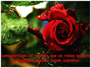 conscientizar os adultos que as rosas exalam
seu perfume mesmo tendo espinhos,

 