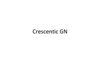 Crescentic GN 