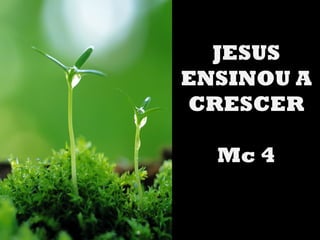JESUS
ENSINOU A
CRESCER

  Mc 4
 