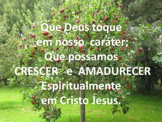 Que Deus toque
em nosso caráter;
Que possamos
CRESCER e AMADURECER
Espiritualmente
em Cristo Jesus.
 