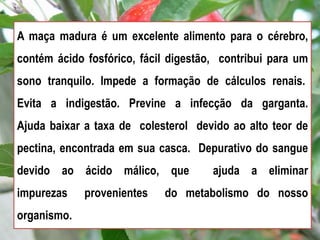 A maça madura é um excelente alimento para o cérebro,
contém ácido fosfórico, fácil digestão, contribui para um
sono tranquilo. Impede a formação de cálculos renais.
Evita a indigestão. Previne a infecção da garganta.
Ajuda baixar a taxa de colesterol devido ao alto teor de
pectina, encontrada em sua casca. Depurativo do sangue
devido ao ácido málico, que ajuda a eliminar
impurezas provenientes do metabolismo do nosso
organismo.
 
