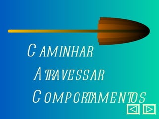 Caminhar Atravessar Comportamentos 