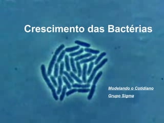 Crescimento das Bactérias
Modelando o Cotidiano
Grupo Sigma
 