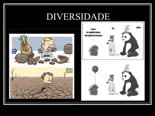 DIVERSIDADE
 