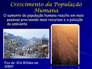Crescimento da População
            Humana
O aumento da população humana resulta em mais
  pessoas precisando mais recursos e a poluição
  do ambiente




Pico de: 10.6 Bilhões em
2080?
 