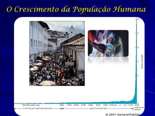 O Crescimento da População Humana
 
