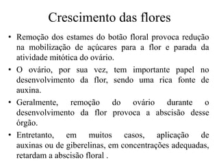 Crescimento das flores
• Remoção dos estames do botão floral provoca redução
na mobilização de açúcares para a flor e parada da
atividade mitótica do ovário.
• O ovário, por sua vez, tem importante papel no
desenvolvimento da flor, sendo uma rica fonte de
auxina.
• Geralmente, remoção do ovário durante o
desenvolvimento da flor provoca a abscisão desse
órgão.
• Entretanto, em muitos casos, aplicação de
auxinas ou de giberelinas, em concentrações adequadas,
retardam a abscisão floral .
 