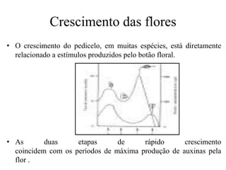 Crescimento das flores
• O crescimento do pedicelo, em muitas espécies, está diretamente
relacionado a estímulos produzidos pelo botão floral.
• As duas etapas de rápido crescimento
coincidem com os períodos de máxima produção de auxinas pela
flor .
 