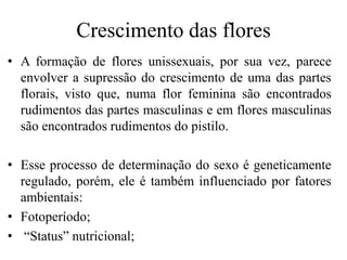 Crescimento das flores
• A formação de flores unissexuais, por sua vez, parece
envolver a supressão do crescimento de uma das partes
florais, visto que, numa flor feminina são encontrados
rudimentos das partes masculinas e em flores masculinas
são encontrados rudimentos do pistilo.
• Esse processo de determinação do sexo é geneticamente
regulado, porém, ele é também influenciado por fatores
ambientais:
• Fotoperíodo;
• “Status” nutricional;
 