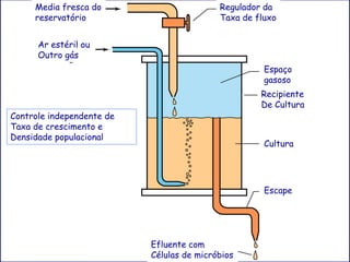 Media fresca do                               Regulador da
      reservatório                                  Taxa de fluxo


       Ar estéril ou
       Outro gás
                                                              Espaço
                                                              gasoso
                                                             Recipiente
                                                             De Cultura
It controlsindependente de
Controle growth rate and
Taxa de crescimento e
population density independently.
Densidade populacional
                                                              Cultura




                                                              Escape




                                    Efluente com
                                    Células de micróbios
 