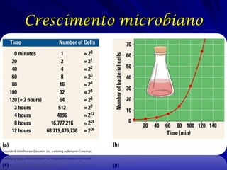 Crescimento microbiano
 