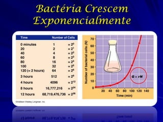 Bactéria Crescem
Exponencialmente
 