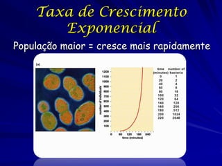 Taxa de Crescimento
       Exponencial
População maior = cresce mais rapidamente
 