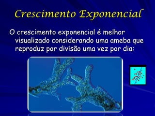 Crescimento Exponencial
O crescimento exponencial é melhor
 visualizado considerando uma ameba que
 reproduz por divisão uma vez por dia:
 