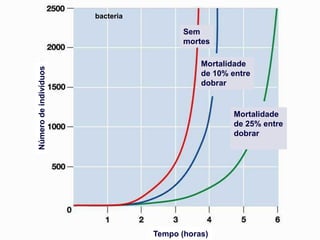 bacteria

                                         Sem
                                           no
                                          deaths
                                         mortes

                                              Mortalidade
                                                10%
Número de indivíduos


                                              de 10% entre
                                              between
                                              dobrar
                                             doublings


                                                       25% die
                                                     Mortalidade
                                                       between
                                                     de 25% entre
                                                      doublings
                                                     dobrar




                                  Tempo (horas)
 
