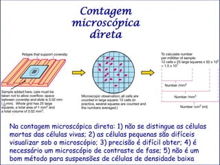 Contagem
                   microscópica
                      direta




Na contagem microscópica direta: 1) não se disti...