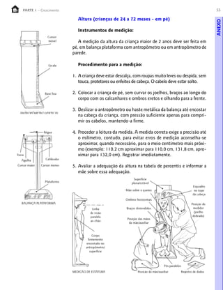 PARTE 1 – Crescimento                                                                              55

                          Altura (crianças de 24 a 72 meses - em pé)




                                                                                                   ANEXO
                          Instrumentos de medição:

                           A medição da altura da criança maior de 2 anos deve ser feita em
                        pé, em balança plataforma com antropômetro ou em antropômetro de
                        parede.

                          Procedimento para a medição:

                        1. A criança deve estar descalça, com roupas muito leves ou despida, sem
                           touca, protetores ou enfeites de cabeça. O cabelo deve estar solto.

                        2. Colocar a criança de pé, sem curvar os joelhos, braços ao longo do
                           corpo com os calcanhares e ombros eretos e olhando para a frente.

                        3. Deslizar o antropômetro ou haste metálica da balança até encostar
                           na cabeça da criança, com pressão suficiente apenas para compri-
                           mir os cabelos, mantendo-a firme.

                        4. Proceder a leitura da medida. A medida correta exige a precisão até
                           o milímetro, contudo, para evitar erros de medição aconselha-se
                           aproximar, quando necessário, para o meio centímetro mais próxi-
                           mo (exemplo: 110,2 cm aproximar para 110,0 cm, 131,8 cm, apro-
                           ximar para 132,0 cm). Registrar imediatamente.

                        5. Avaliar a adequação da altura na tabela de percentis e informar a
                           mãe sobre essa adequação.
 