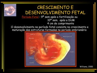 Semanas do desenvolvimento até o nascimento | PPT