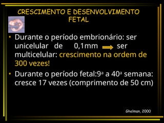 Semanas do desenvolvimento até o nascimento | PPT
