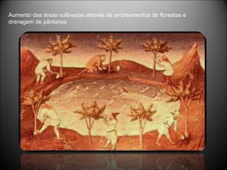 Aumento das áreas cultivadas através de arroteamentos de florestas e drenagem de pântanos  