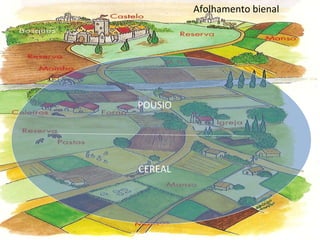 CEREAL POUSIO Afolhamento bienal 