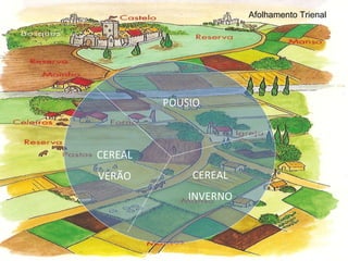 Afolhamento  trienal CEREAL INVERNO POUSIO CEREAL VERÃO Afolhamento Trienal 