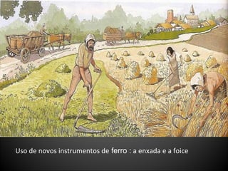 Uso de novos instrumentos de  ferro :  a enxada e a foice 