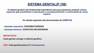 SISTEMA GENITAL(P.198)
O sistema genital é de fundamental importância para que possamos produzir células
especiais que possibilitará a reprodução e consequentemente a continuidade de nossa
espécie.
As células especiais são denominadas de GAMETAS
- Gametas masculino: ESPERMATOZÓIDES
- Gametas feminino: OVÓCITOS SECUNDÁRIOS
IMPORTANTE:
Cada gameta carrega o material genético.
OBS: Cada gameta possui 23 cromossomos.
 