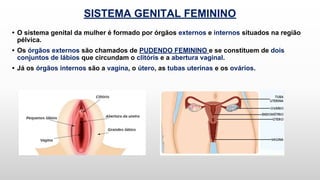 SISTEMA GENITAL FEMININO
• O sistema genital da mulher é formado por órgãos externos e internos situados na região
pélvica.
• Os órgãos externos são chamados de PUDENDO FEMININO e se constituem de dois
conjuntos de lábios que circundam o clitóris e a abertura vaginal.
• Já os órgãos internos são a vagina, o útero, as tubas uterinas e os ovários.
 