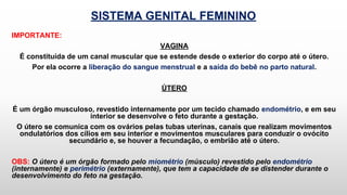SISTEMA GENITAL FEMININO
IMPORTANTE:
VAGINA
É constituída de um canal muscular que se estende desde o exterior do corpo até o útero.
Por ela ocorre a liberação do sangue menstrual e a saída do bebê no parto natural.
ÚTERO
É um órgão musculoso, revestido internamente por um tecido chamado endométrio, e em seu
interior se desenvolve o feto durante a gestação.
O útero se comunica com os ovários pelas tubas uterinas, canais que realizam movimentos
ondulatórios dos cílios em seu interior e movimentos musculares para conduzir o ovócito
secundário e, se houver a fecundação, o embrião até o útero.
OBS: O útero é um órgão formado pelo miométrio (músculo) revestido pelo endométrio
(internamente) e perimétrio (externamente), que tem a capacidade de se distender durante o
desenvolvimento do feto na gestação.
 