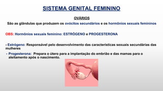 SISTEMA GENITAL FEMININO
OVÁRIOS
São as glândulas que produzem os ovócitos secundários e os hormônios sexuais femininos
OBS: Hormônios sexuais feminino: ESTRÓGENO e PROGESTERONA
- Estrógeno: Responsável pelo desenvolvimento das características sexuais secundárias das
mulheres
- Progesterona: Prepara o útero para a implantação do embrião e das mamas para o
aleitamento após o nascimento.
 