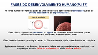 FASES DO DESENVOLVIMENTO HUMANO(P.187)
O corpo humano se forma a partir de uma única célula concebida na fecundação (união do
ovócito secundário e do espermatozoide).
Essa célula, chamada de célula-ovo ou zigoto, se divide em inúmeras células que se
diferenciam formando o embrião e, posteriormente, o feto.
Esse desenvolvimento prossegue dentro do útero materno e, após o nascimento, se completa.
Após o nascimento, o ser humano é chamado bebê e seu desenvolvimento é contínuo, com
etapas que incluem infância, adolescência, idade adulta e velhice.
 