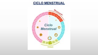 CICLO MENSTRUAL
 