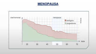 MENOPAUSA
 