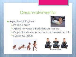 Desenvolvimento
 Aspectosbiológicos;
    Posição ereta
    Aparelho visual e flexibilidade manual
    Capacidade de se comunicar através da fala
    Evolução social
 