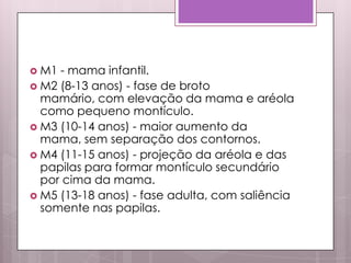  M1 - mama infantil.
 M2 (8-13 anos) - fase de broto
mamário, com elevação da mama e aréola
como pequeno montículo.
 M3 (10-14 anos) - maior aumento da
mama, sem separação dos contornos.
 M4 (11-15 anos) - projeção da aréola e das
papilas para formar montículo secundário
por cima da mama.
 M5 (13-18 anos) - fase adulta, com saliência
somente nas papilas.
 