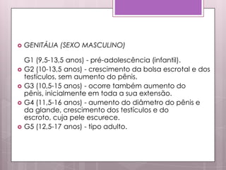 GENITÁLIA (SEXO MASCULINO)
G1 (9,5-13,5 anos) - pré-adolescência (infantil).
 G2 (10-13,5 anos) - crescimento da bolsa escrotal e dos
testículos, sem aumento do pênis.
 G3 (10,5-15 anos) - ocorre também aumento do
pênis, inicialmente em toda a sua extensão.
 G4 (11,5-16 anos) - aumento do diâmetro do pênis e
da glande, crescimento dos testículos e do
escroto, cuja pele escurece.
 G5 (12,5-17 anos) - tipo adulto.
 